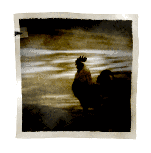 Antiquing-Images-Photoshop-15