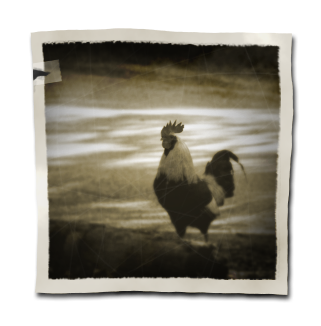 Antiquing-Images-Photoshop-17