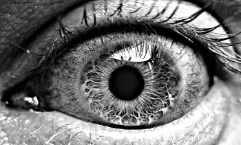 Black-And-White-Tips