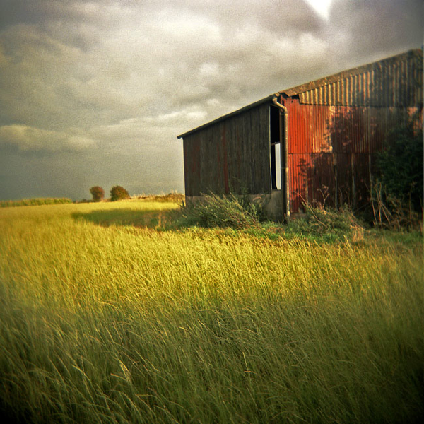 Marshfield Holga 0906 0035