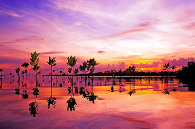 Landscape