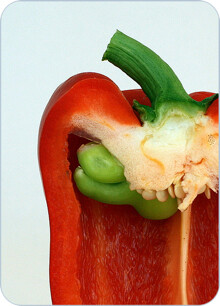 Fruit-Vegetables