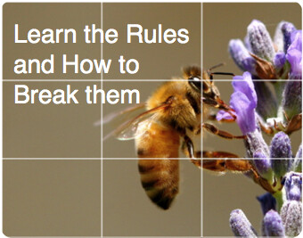 Rules-1