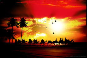 Silhouette-1