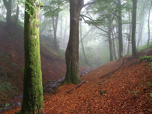 Haytor Vale 6.jpg