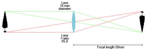 Lens diameter and magnification