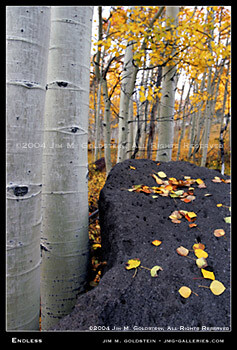 Endless Color photo by Jim M. Goldstein