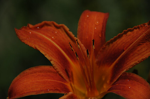 Exposure5