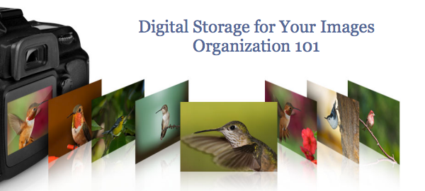 digital-storage-images.png