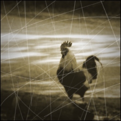 Antiquing-Images-Photoshop-1