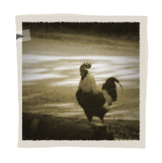 Antiquing-Images-Photoshop-12