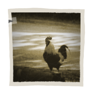Antiquing-Images-Photoshop-13