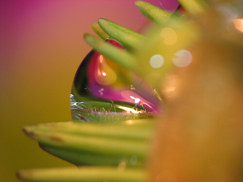 Photographing-Water