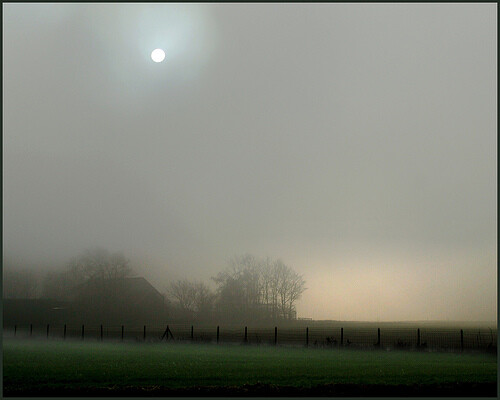 Light-6