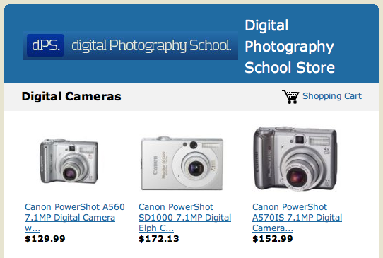 Digital Photography School Store