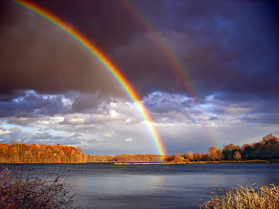 Rainbow of Relationship Joy