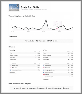 Flickr Stats