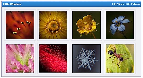albums.png