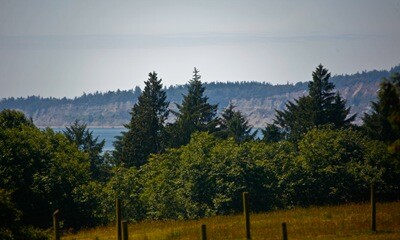 Image1-2