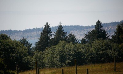 Image1