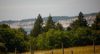 Image2