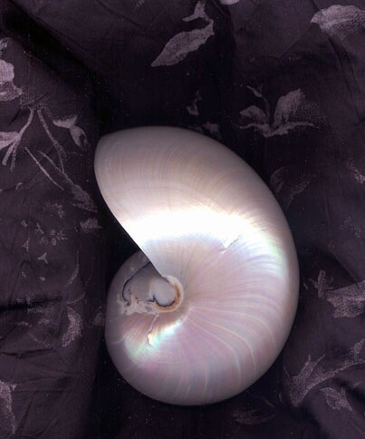 scanner-photography.jpg