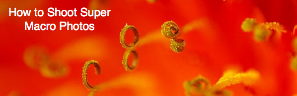super-macro.png