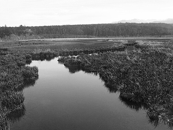 7. Color image desaturated based on the green channel