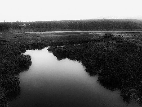 8. The same image, desaturated with the help of the blue channel