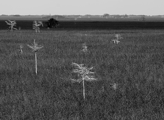 9. Desaturated image, also based on the blue channel