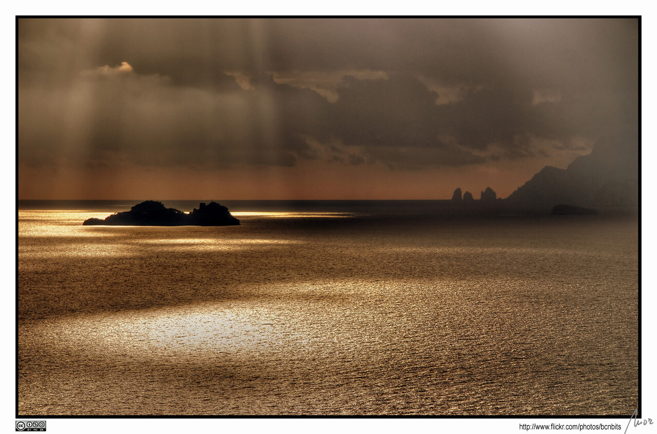 Image by MorBNC