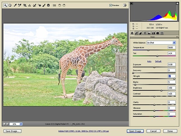 Image 4.jpg