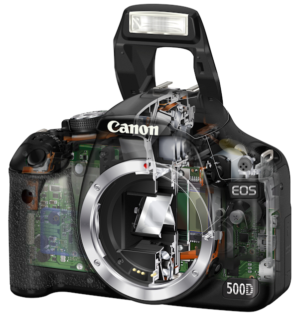canon rebel t1i eos 500d. Canon EOS 500D | Rebel T1i