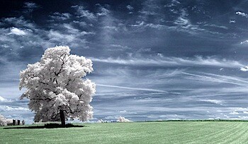 Infrared.jpg