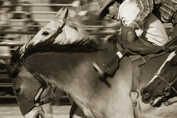Sepia-Image 11.jpg