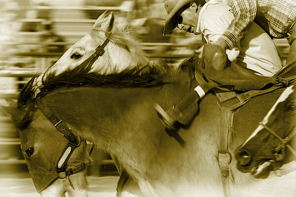 Sepia-Image 12.jpg