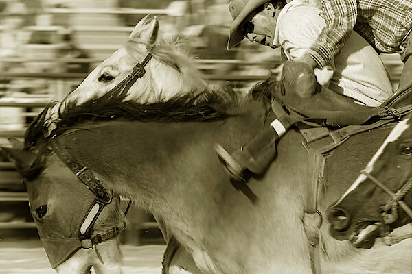 Sepia-Image 13.jpg