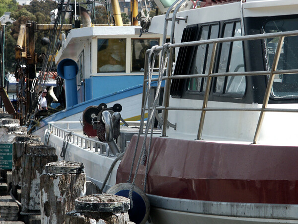 Fishing Boats
