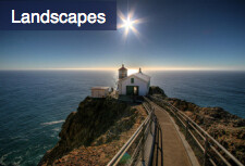 Landscapes