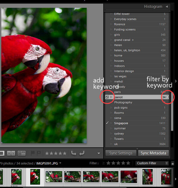 Lightroom-Mistakes-1