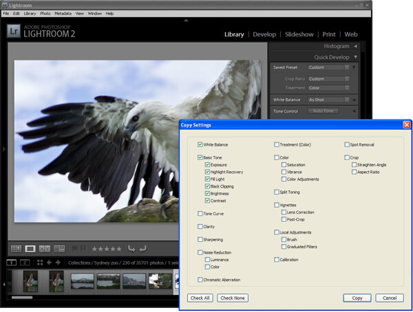 Lightroom-Mistakes-5