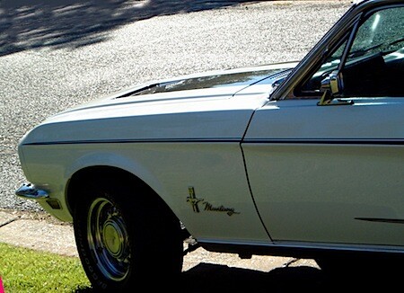 Mustang cropped.jpg