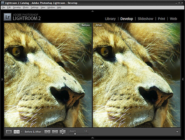 spot_before-after.jpg