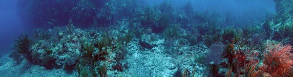 Underwater Panorama