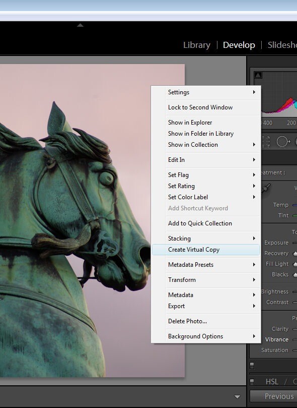 Virtual Copies in Lightroom_2.jpg