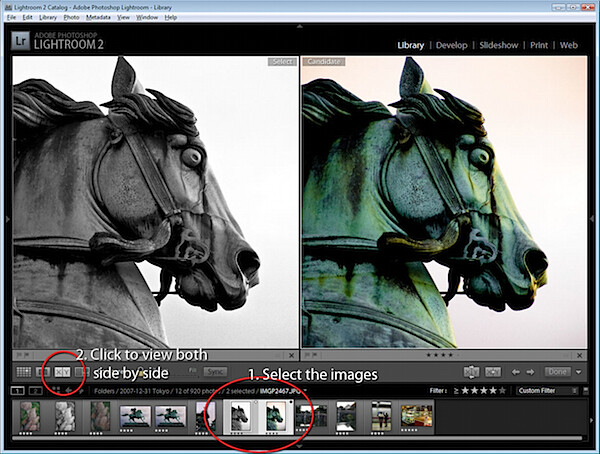 Virtual Copies in Lightroom-4.jpg