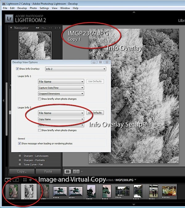 Virtual Copies in Lightroom_5.jpg