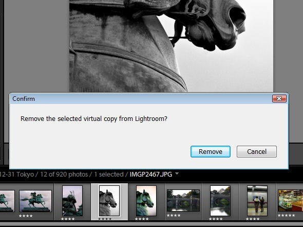 Virtual Copies in Lightroom_delete1.jpg