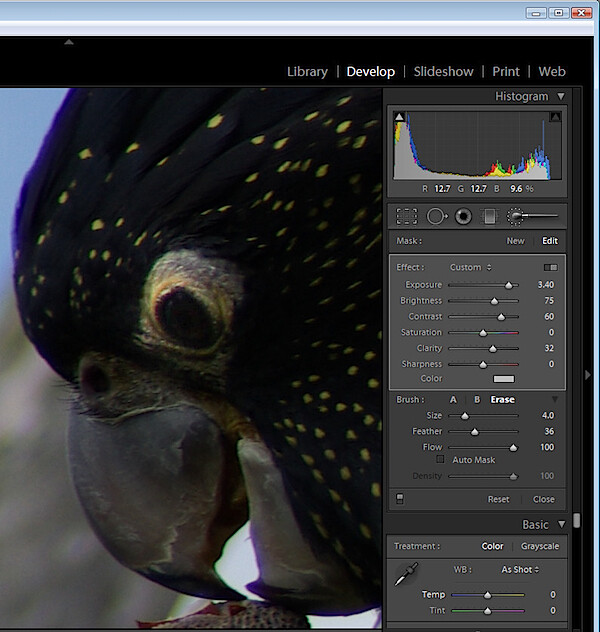 animal-eyes-fix-lightroom-step2.jpg