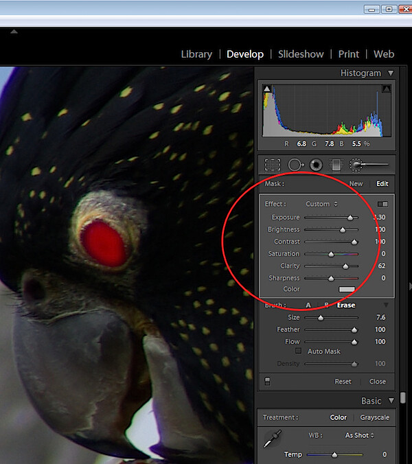 animal-eyes-fix-lightroom-step4.jpg